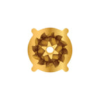Golden Espresso Shower Screen Dispersion Disc